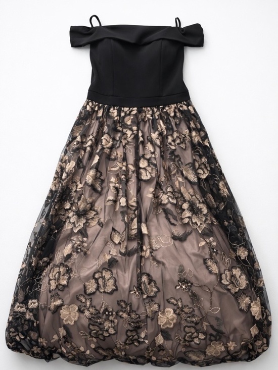 David's Bridal Dresses & Skirts - Black Floral Embroidered Off-Shoulder Ball Gown Dress w/ Pockets – Size 14